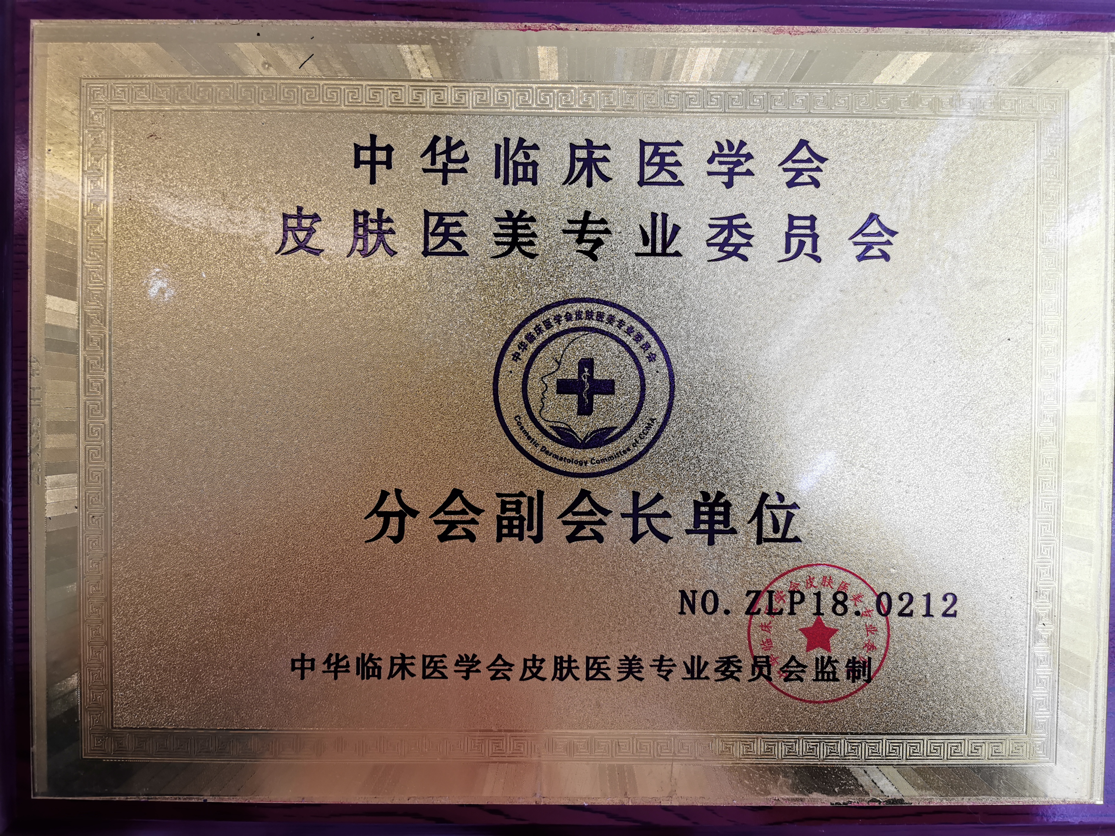 中华临床医学会皮肤医美专业委员会分会副会长单位