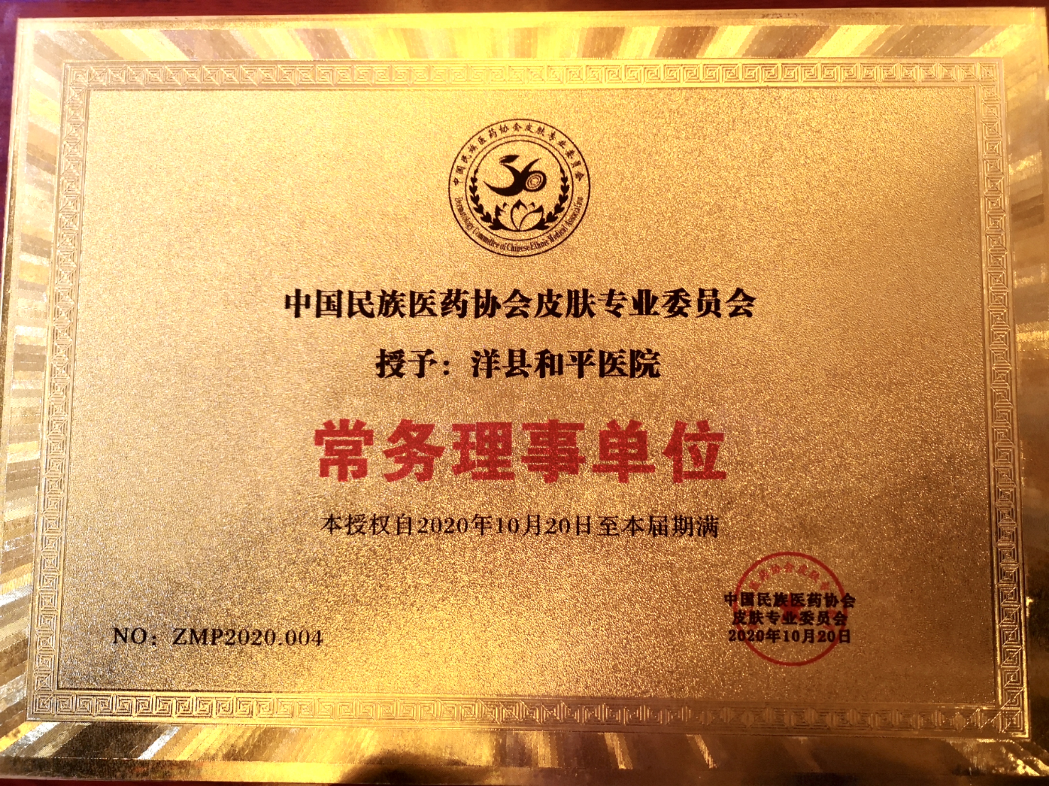 中国民族医药协会皮肤专业委员会